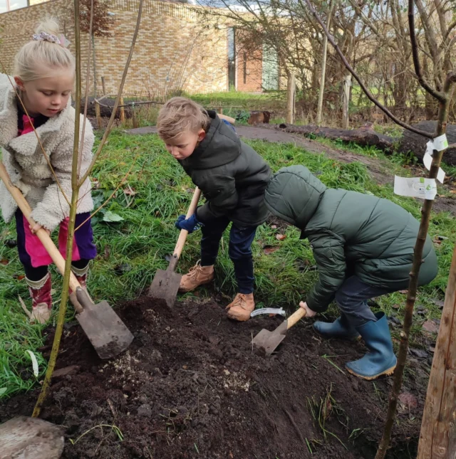 Het is najaar dus we kunnen weer planten! Vandaag ging de schop de grond in voor een nieuwe perenboom. Het duurt nog even, maar als deze tuinders in de bovenbouw zitten plukken we hier vast de eerste vruchten van!🍐🍐🍐Bedankt voor de boom @ivnnatuureducatie 😀#harkstede #meerstad #noorderbasis